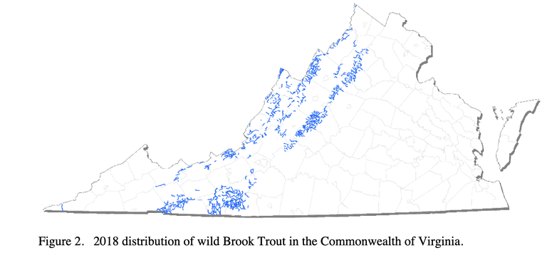 VDWR brook trout map range in VA