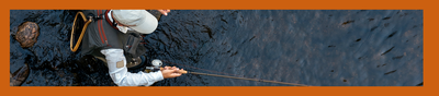 banner 3 angling banner
