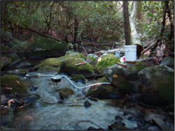 ReintroduceBrookTrout2.png ReintroduceBrookTrout2.png