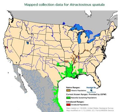 Mapped Collection Data for Atractosteus Spatula Mapped Collection Data for Atractosteus Spatula