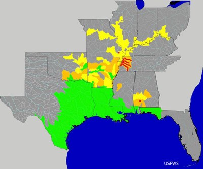Watershed Distribution Status of Alligator Gar Watershed Distribution Status of Alligator Gar