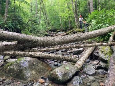 Erin Rodgers White River VT