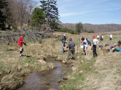 Volunteers for Big Run, West Virginia Photo of volunteers from local schools planting thousands of trees to reforest the riparian zone.