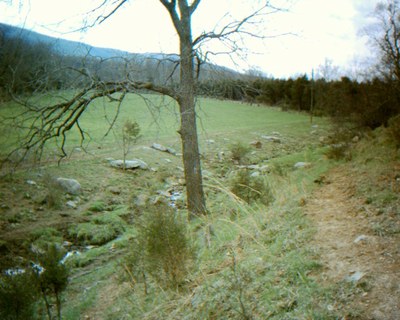 Photo of Smith Creek Headwaters Restoration, Viginia Photo of Smith Creek before livestock exclusion.