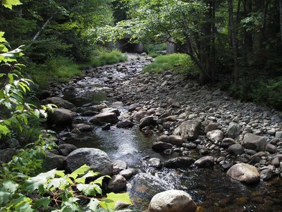 South Bog Stream, Maine South Bog Stream, Maine