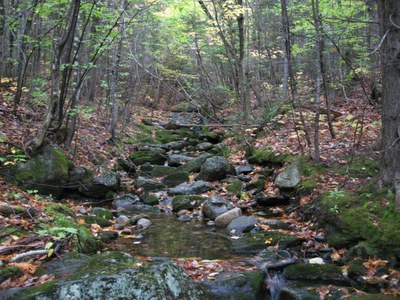 Control Site for Sunday River, Maine Control Site on an unnamed tributary in the Sunday River, Maine.