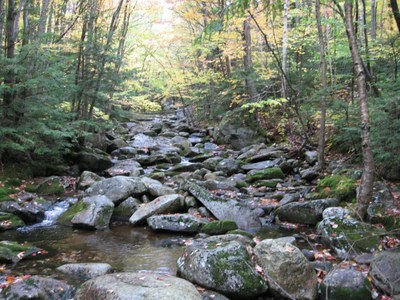 Tributary to Sunday River, Maine Treatment Site #1, an Unnamed tributary to the Sunday River, Maine