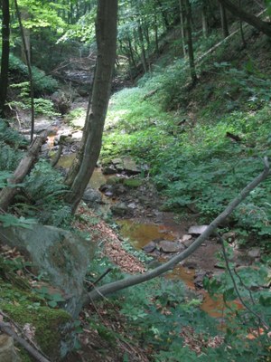 Photo of Aaron Run, Maryland Photo of Aaron Run, Maryland