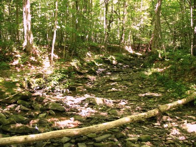 Photo 1 for McIntosh Brook NY Photo 1 for McIntosh Brook NY
