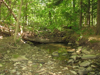 Photo 2 for McIntosh Brook, NY Photo 2 for McIntosh Brook, NY