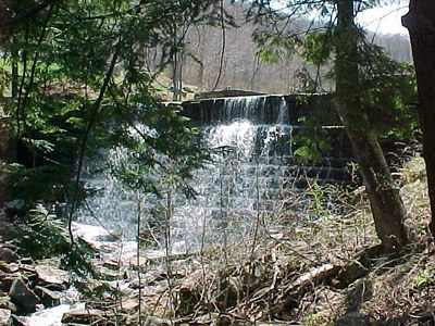 Smethport Dam on Blacksmith Run, Pennsylvania Photo of the dam to be removed on Blacksmith Run in Pennsylvania.