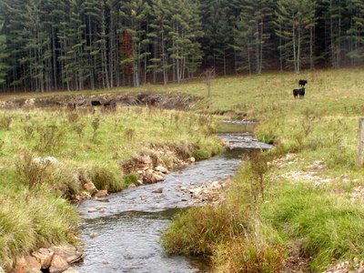 Photo of Whitethorn Creek, WV Photo of Whitethorn Creek, WV
