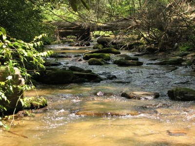 Jocassee Gorges, South Carolina Photo of Laurel Fork Creek, a typical brook trout stream in Jocasse Gorges, South Carolina