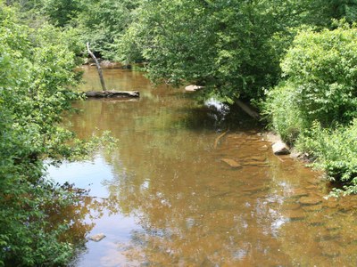 Photo 1 of Casselman River, MD Photo 1 of Casselman River, MD