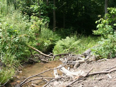 Photo 2 of Casselman River, MD Photo 2 of Casselman River, MD