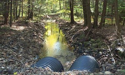 Culverts on Leadmine Brook, Connecticut Photo illustrating skewed alignment of culvert outlet that directs high stream flow regimes into the streambank.