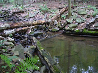 Photo 1 of Wallacks Branch Photo 1 of Wallacks Branch