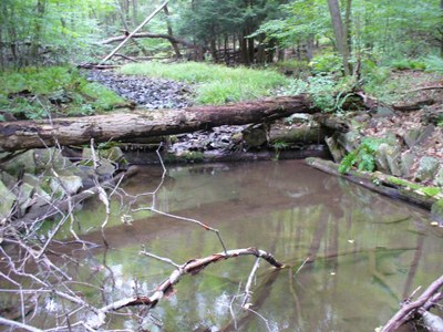 Photo 2 of Wallacks Branch PA Photo 2 of Wallacks Branch PA