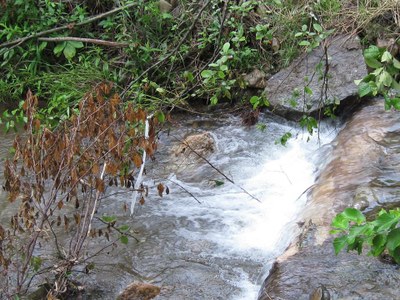 Photo 2 of Garth Run, Virginia Photo 2 of Garth Run, Virginia