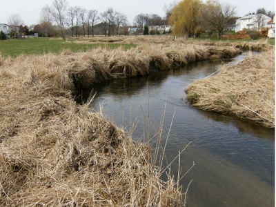Willow Creek Pennsylvania Photo of general habitat conditions in Willow Creek, Pennsylvania
