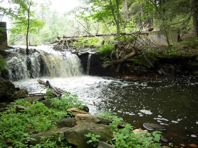 Former dam on Hamant Brook in Massachusetts Dam removed from Hamant Brook in Massachusetts, as part of a 2010 project. 8 miles of stream were re-opened.