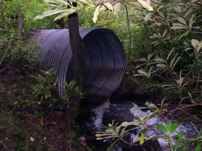 Bryant Culvert in Chattahoochee National Forest, Georgia Photo of the culvert to be replaced on Bryant Creek in the Chattachoochee National Forest.