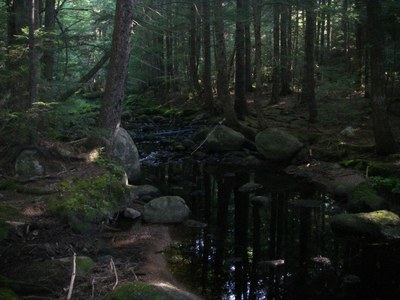 Carloe Brook, Maine Photo looking upstream in Carloe Brook in Maine.
