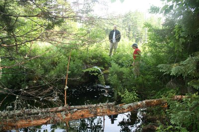 Outlet of culvert on an Unnamed Tributary on Ash Bog Stream, Maine Photo showing the outlet of a perched ulvert on an Unnamed Tributary on Ash Bog Stream in Maine.