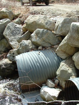 Outlet of Culverts at Ash Bog Stream in Maine Photo showing the outlet of the culverts on Ash Bog Stream in Maine.  Outlets are perched during most of the summer and the undersized culverts lead to overwash and sedimentation in the stream.