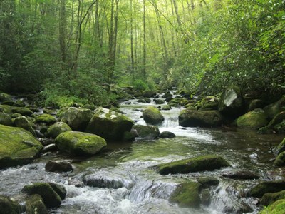 Lynn Camp Prong, Smoky Mountain National Park, Tennessee Photo of Lynn Camp Prong in Smoky Mountain National Park in Tennessee.