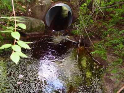 Culvert Outlet of Burroughs Brook Culvert, Machias River / St. Croix River Maine Photo of the outlet of Burroughs Brook Culvert to be replaced with bottomless arch.