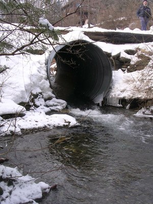 Culvert to be replaced on Thunder Brook in Massachusetts Photo of the culvert to be replaced on Thunder Brook in Massachusetts.