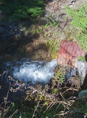 Photo of the Lamothe Creek Culverts in WV Photo of the Lamothe Creek Culverts to be removed.