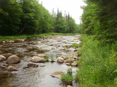 Photo of the Mainstem Nulhegan River in Vermont Photo of the mainstem of the Nulhegan River in Vermont.