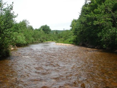 Photo of Nash Stream, Coos County, NH Photo of Nash Stream in Coos County, New Hampshire.  Note the shallow, overwidened reach with poor habitat complexity between East Branch and Pond Brook.