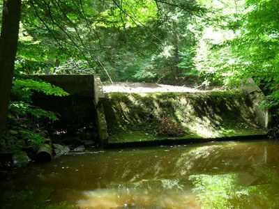 Dam on Wetmore Run Looking upstream at the dam on Wetmore Run.  No water is going over the spillway.