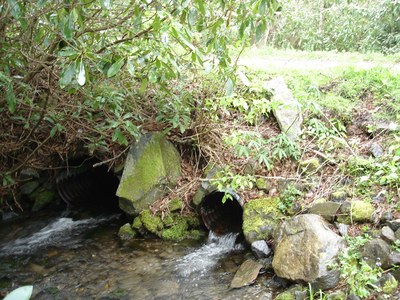 Wolf Laurel Culvert in NC Photo of Wolf Laurel Culvert to be replaced in North Carolina.