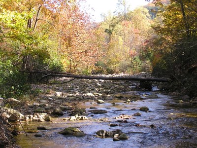 Photo 2 for St. Mary's River, Virginia Photo 2 for St. Mary's River, Virginia