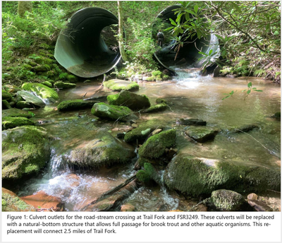Culvert on Trail Fork - outlet Trail Fork culvert outlet