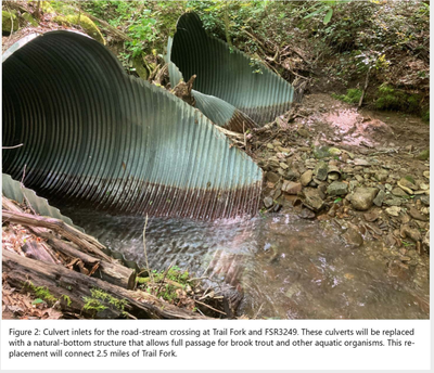 Culvert on Trail Fork Trail fork culvert inlet