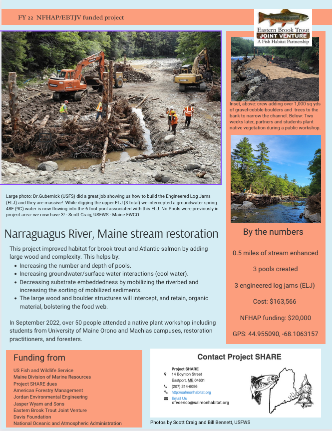 Project update project summary pdf