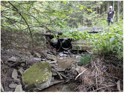Bluelick Run culvert culvert photo
