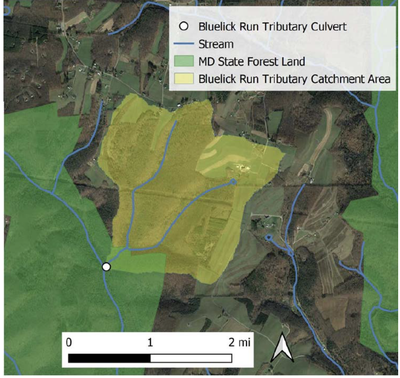 SavageWatershedBlulick Map of bluelick run watershed