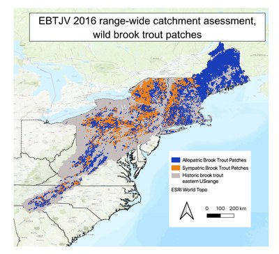 2016 Patch map Allopatric and Sympatric brook trout patches.A “patch” is defined as a group of contiguous catchments occupied by wild trout (Hudy et. al. 2013). Patches are not connected physically (i.e., they are separated by a dam, unoccupied warm water habitat, downstream invasive species, etc.) and are generally assumed to be genetically isolated.Allopatric refers to eastern brook trout only in a catchment. Sympatric refers to brook trout co-residing and competing with brown and rainbow trout.Note: are you looking for all of EBTJV's interactive patch and catchment layers, and the GIS data to download? See related items below.