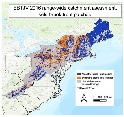 2016 Patch map Allopatric and Sympatric brook trout patches. A “patch” is defined as a group of contiguous catchments occupied by wild trout (Hudy et. al. 2013). Patches are not connected physically (i.e., they are separated by a dam, unoccupied warm water habitat, downstream invasive species, etc.) and are generally assumed to be genetically isolated.Allopatric refers to eastern brook trout only in a catchment. Sympatric refers to brook trout co-residing and competing with brown and rainbow trout.Note: are you looking for all of EBTJV's interactive patch and catchment layers, and the GIS data to download? See related items below.