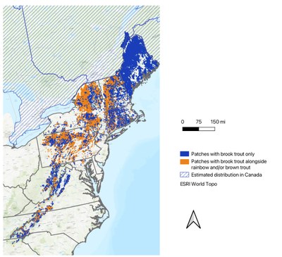 Eastern US map of wild brook trout patches Eastern US map of wild brook trout patches