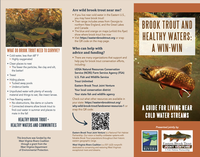 pg 1 brochure front of brochure - lo res